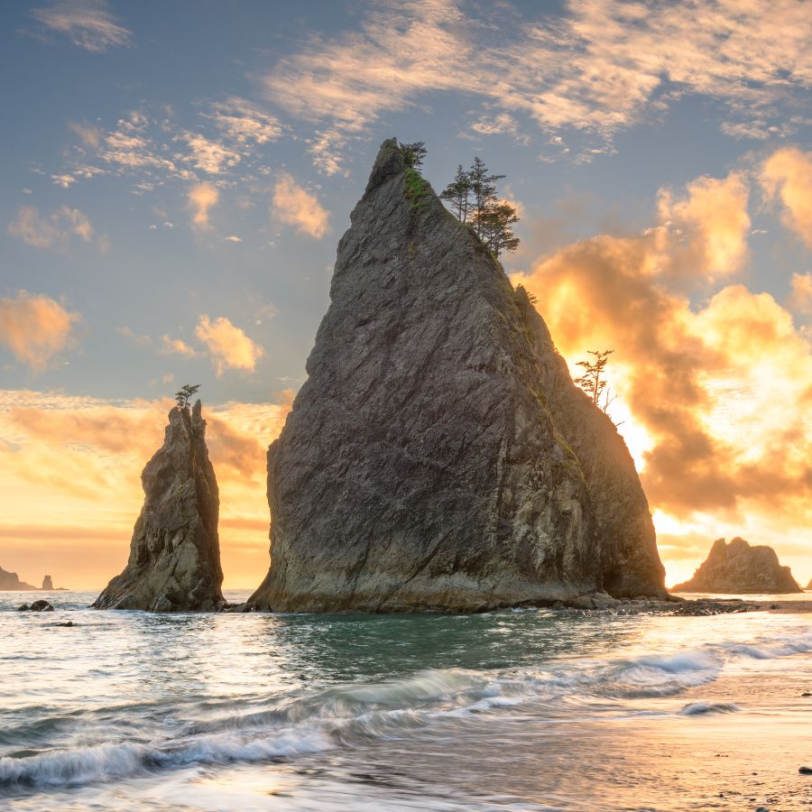 Olympic National Park